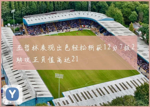 王哲林表现出色轻松斩获12分7板2助攻正负值高达21