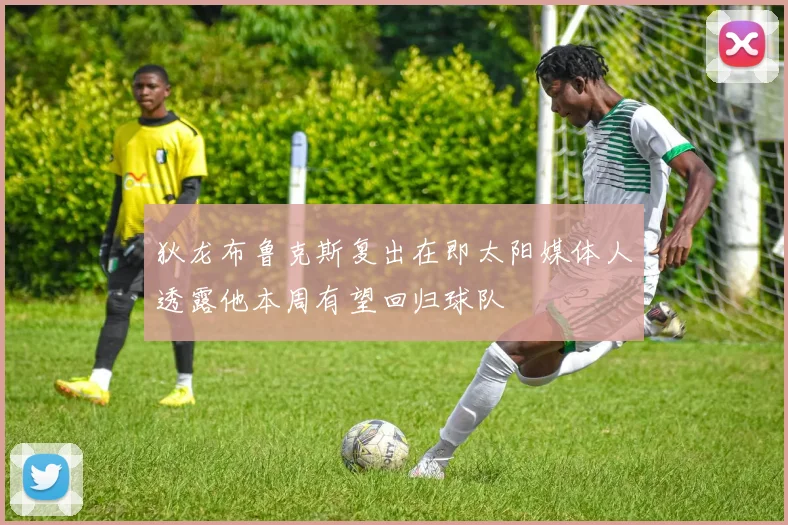 狄龙布鲁克斯复出在即太阳媒体人透露他本周有望回归球队